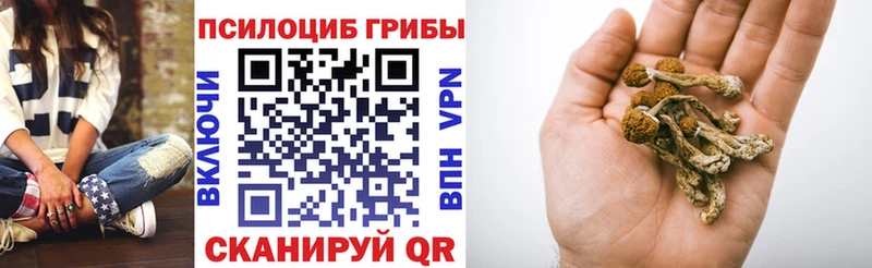 Галлюциногенные грибы ЛСД  Ельня 